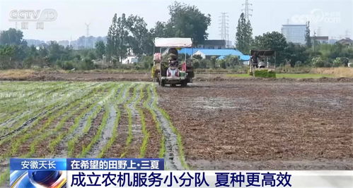 机械科技齐助力 各地秋粮作物播种和田间管理有序进行